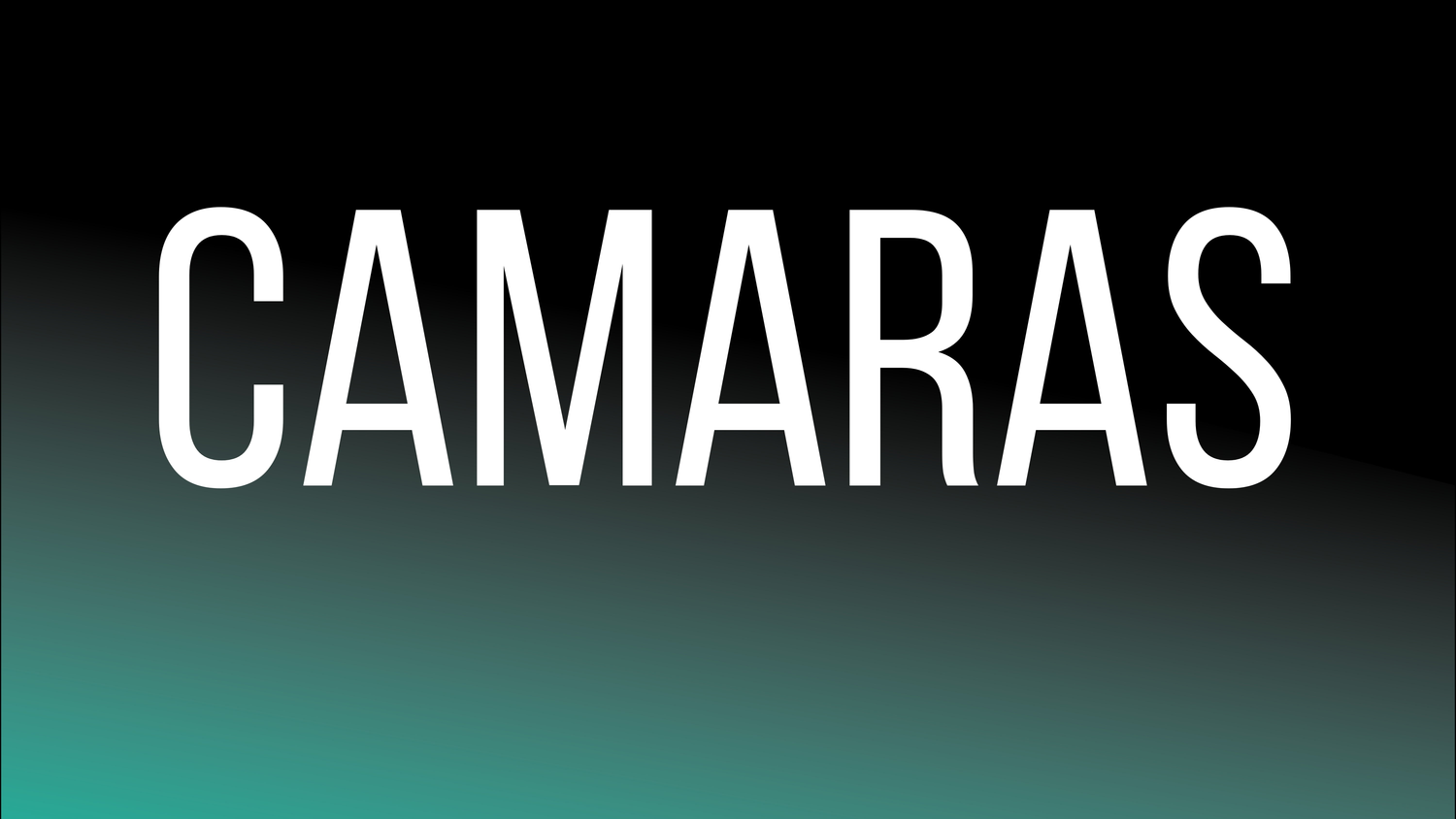 CAMARA DE SEGURIDAD