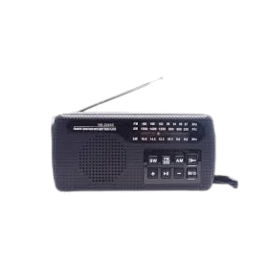 RADIO NNS NS-2045S
